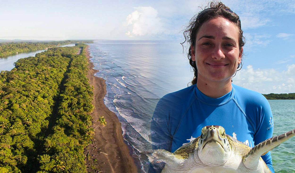 Costa Rica busca voluntarios sin experiencia para cuidar tortugas marinas en el Caribe: incluye alojamiento y 3 comidas al día
